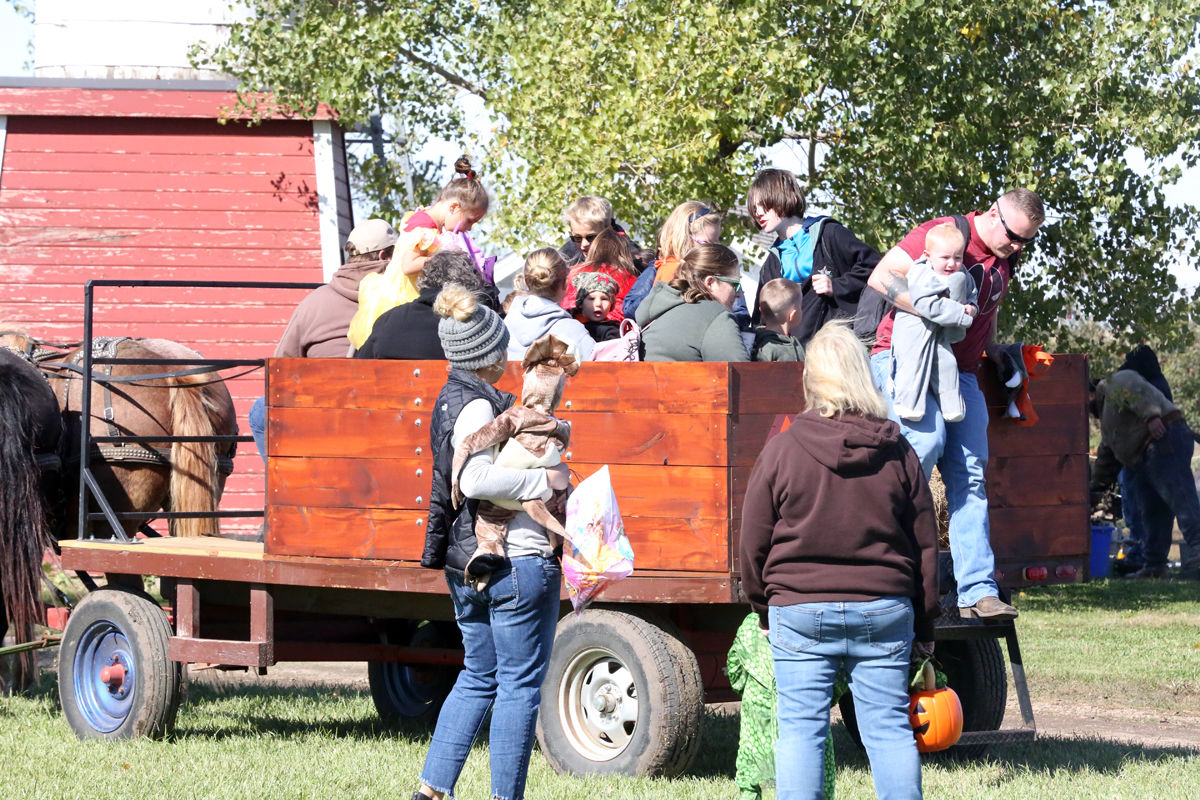 Wessels Fall Festival (3).jpg